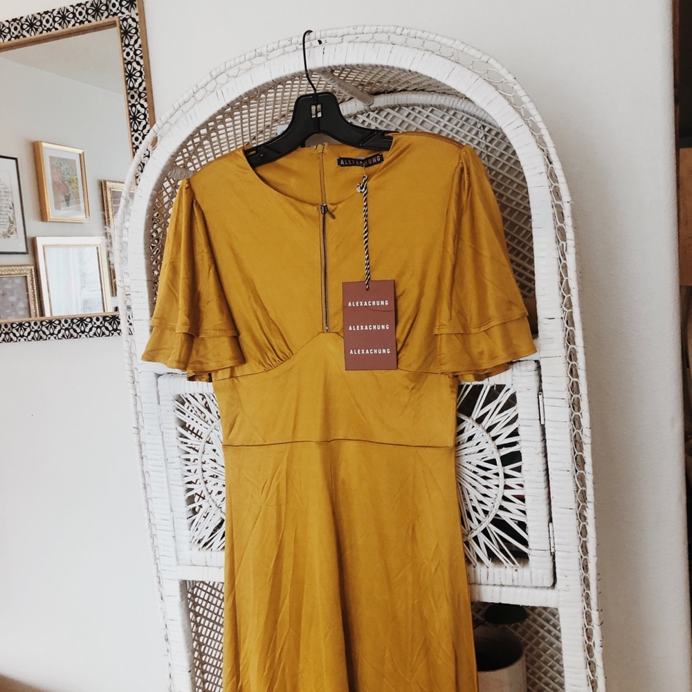 Alexa Chung midi dress - Picture 4 of 4